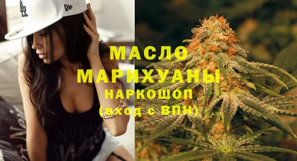 дурь Няндома