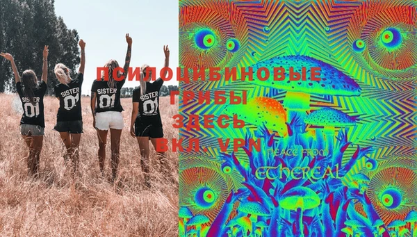соль курить ск Аркадак