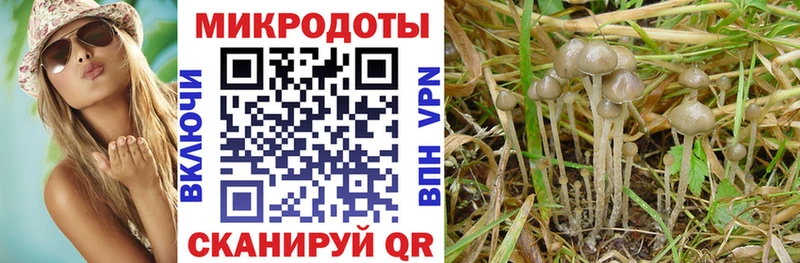Псилоцибиновые грибы Magic Shrooms  Сольцы 